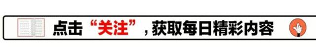 麦卡利斯特发威！利物浦3700万签下英超第一中场